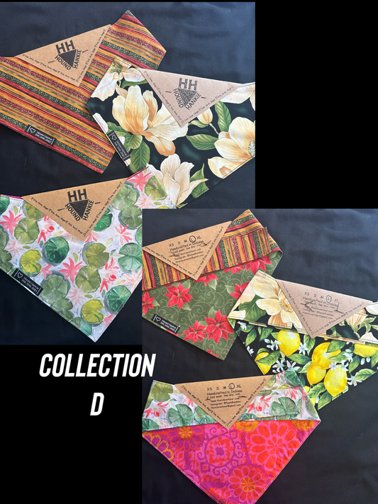 Collection D Size Large