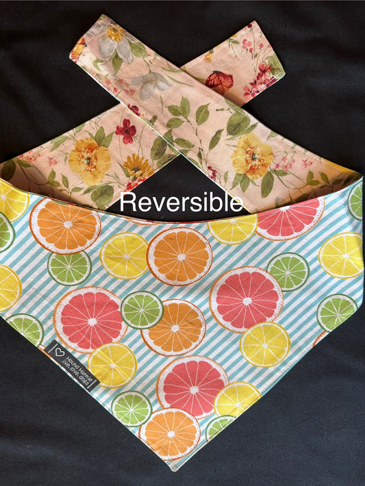 Let’s Party! Reversible Dog Bandana