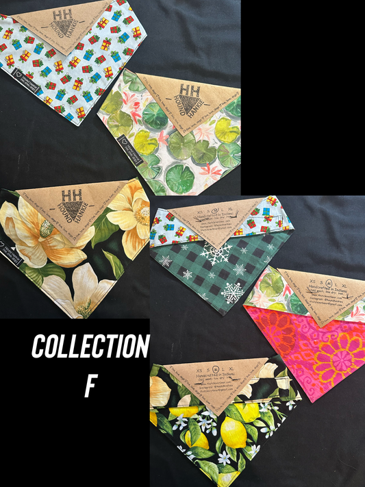 Collection F Size Medium