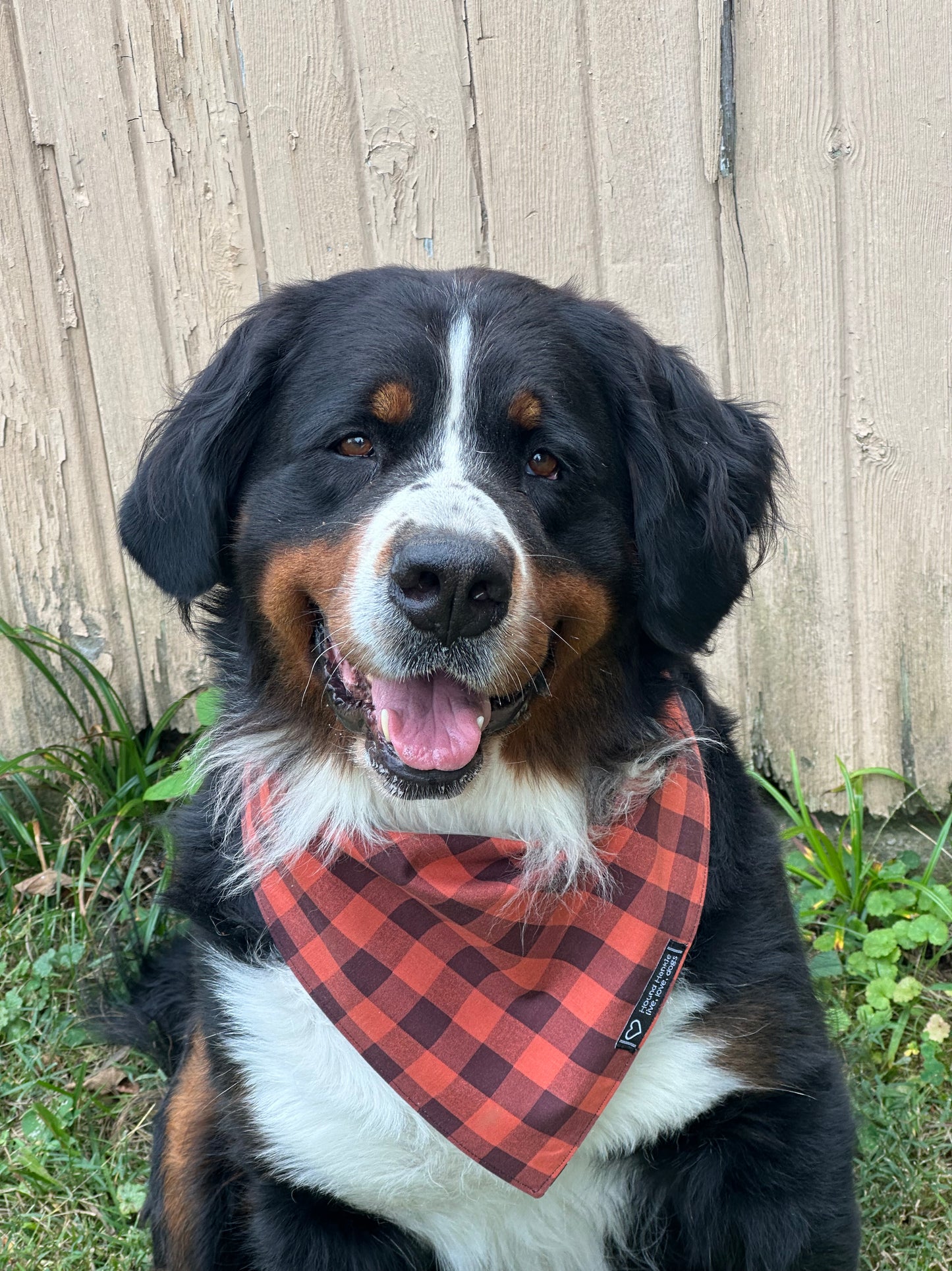 Jack O’ Lantern Reversible Dog Bandana