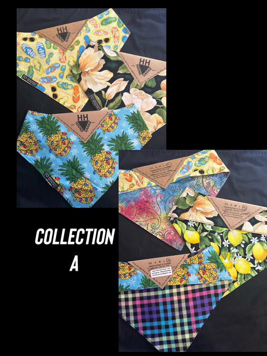 Collection A Size Extra Large