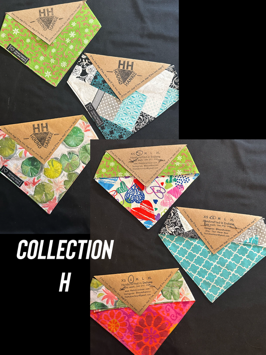 Collection H Size Small