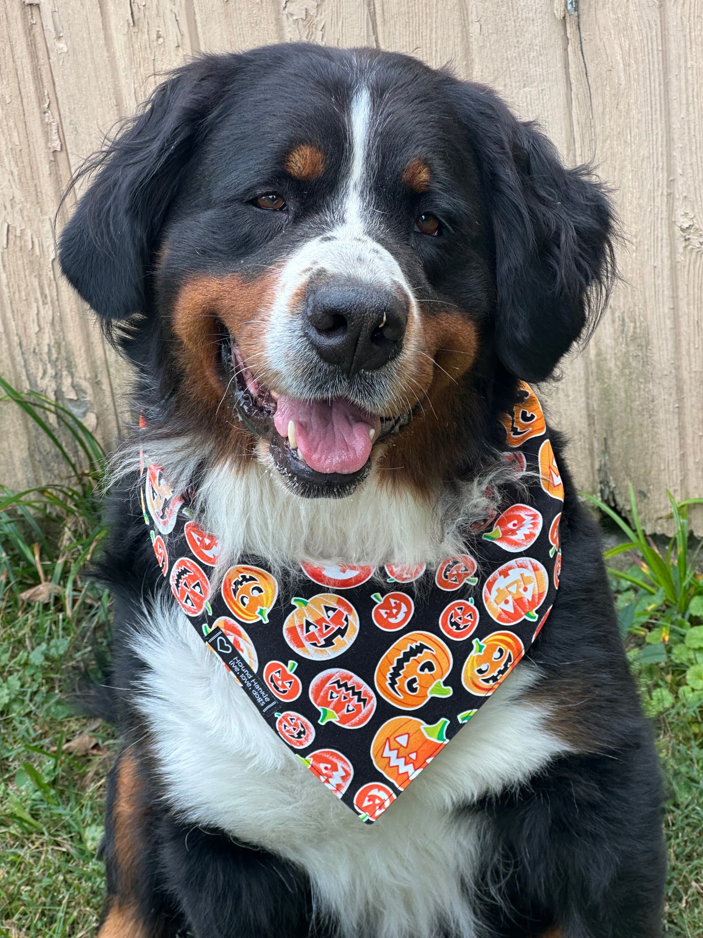 Jack O’ Lantern Reversible Dog Bandana