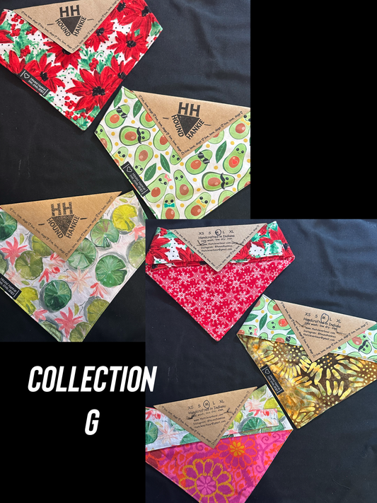 Collection G Size Medium