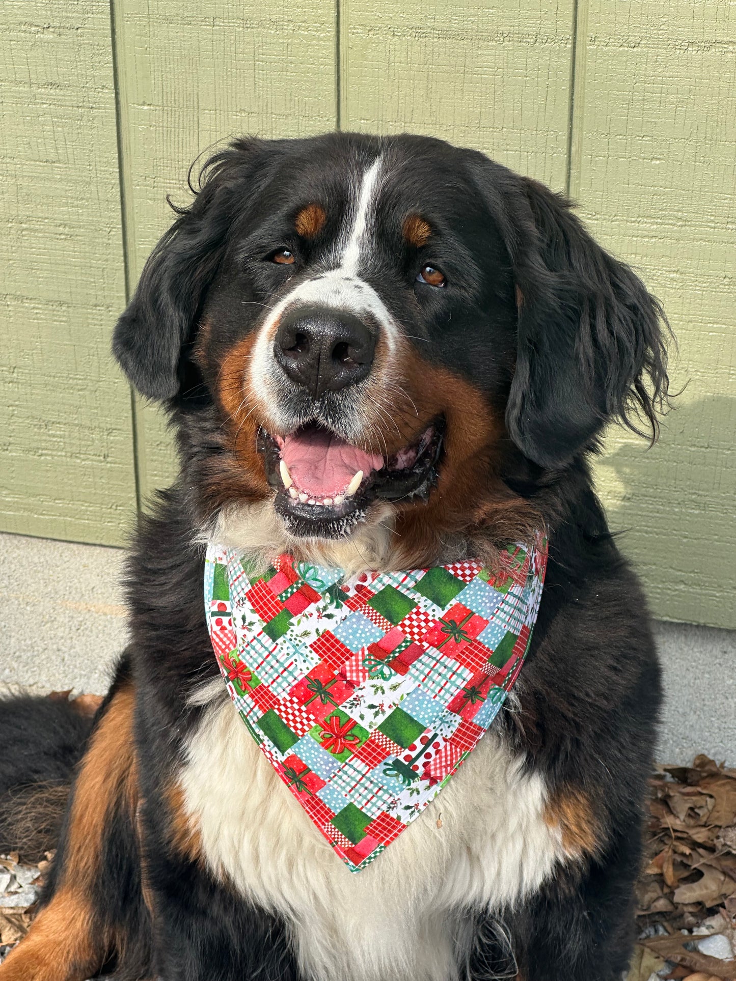Gift of Love Reversible Dog Bandana