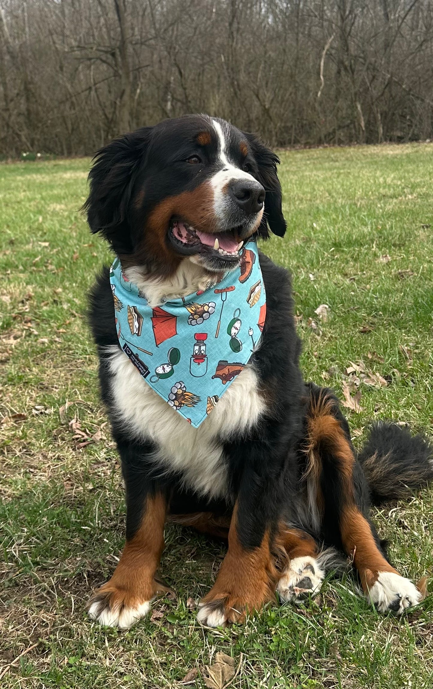 Love Camping Reversible Dog Bandana