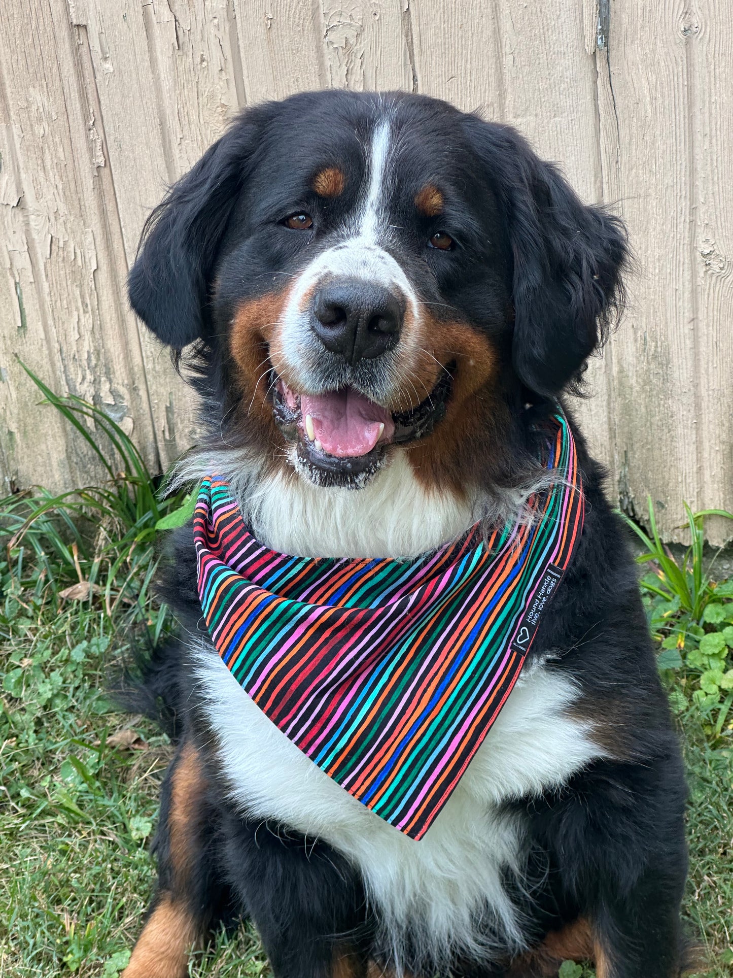 Over the Moon Reversible Dog Bandana