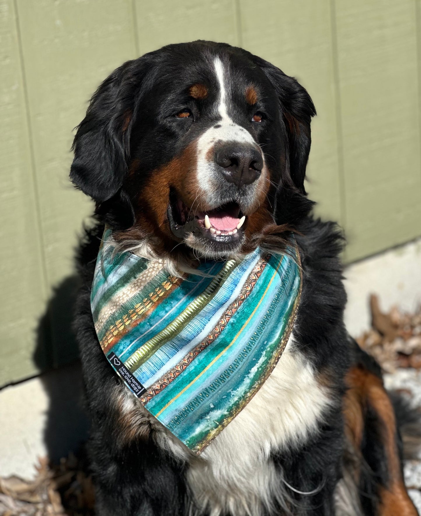 Urban Cowdog Reversible Dog Bandana