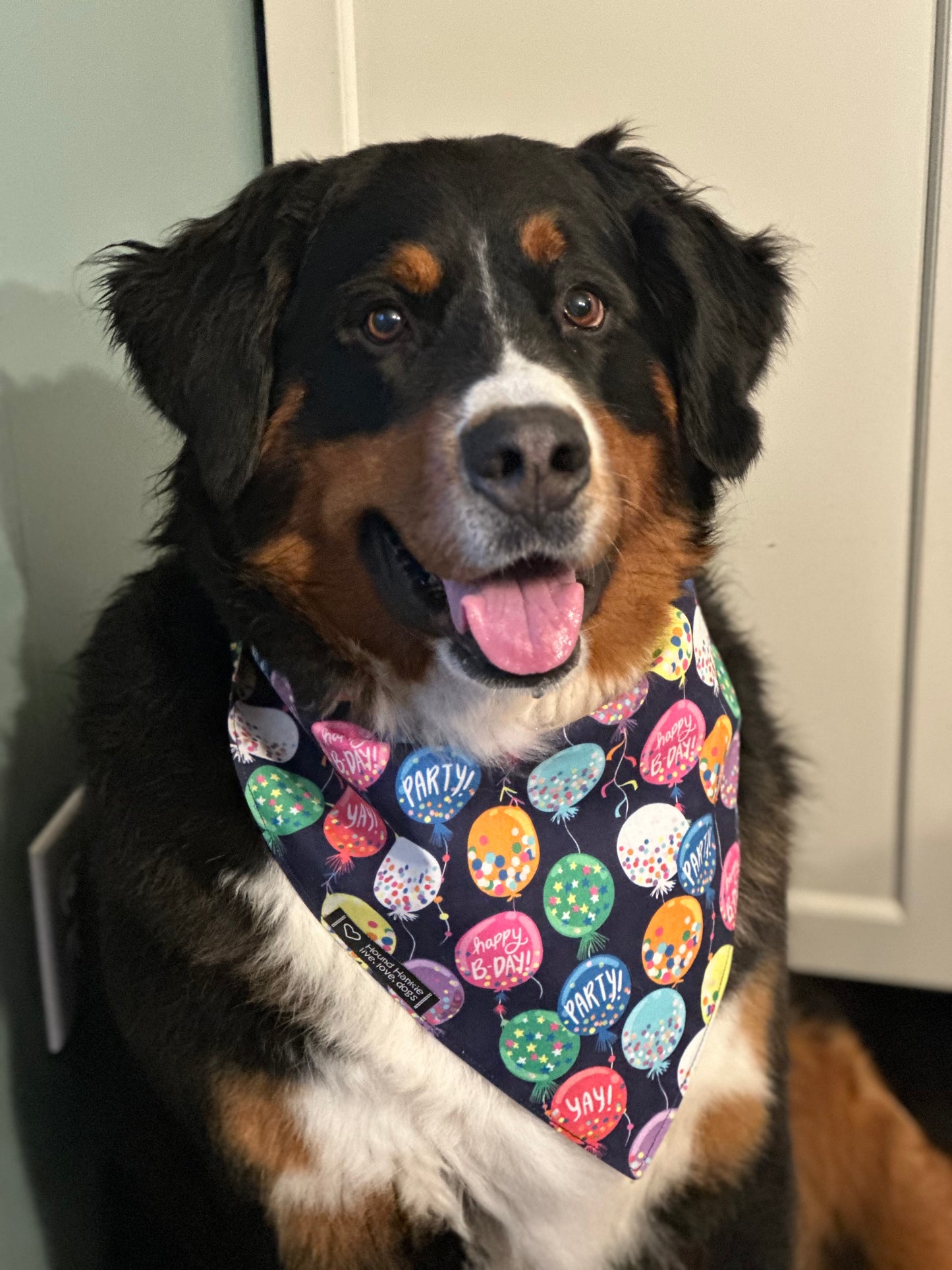 Celebration Reversible Dog Bandana