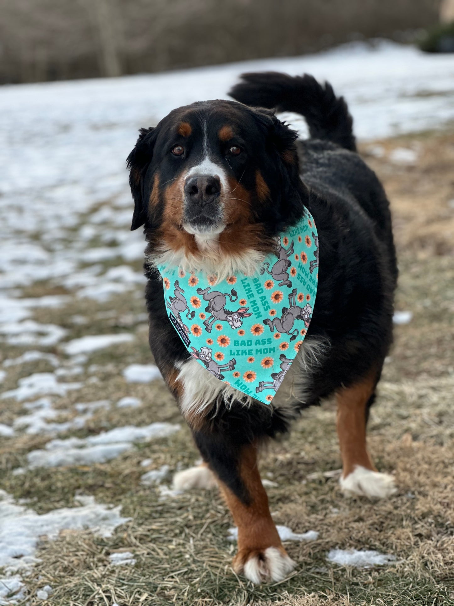 Bad A** Just Like Mom Reversible Dog Bandana