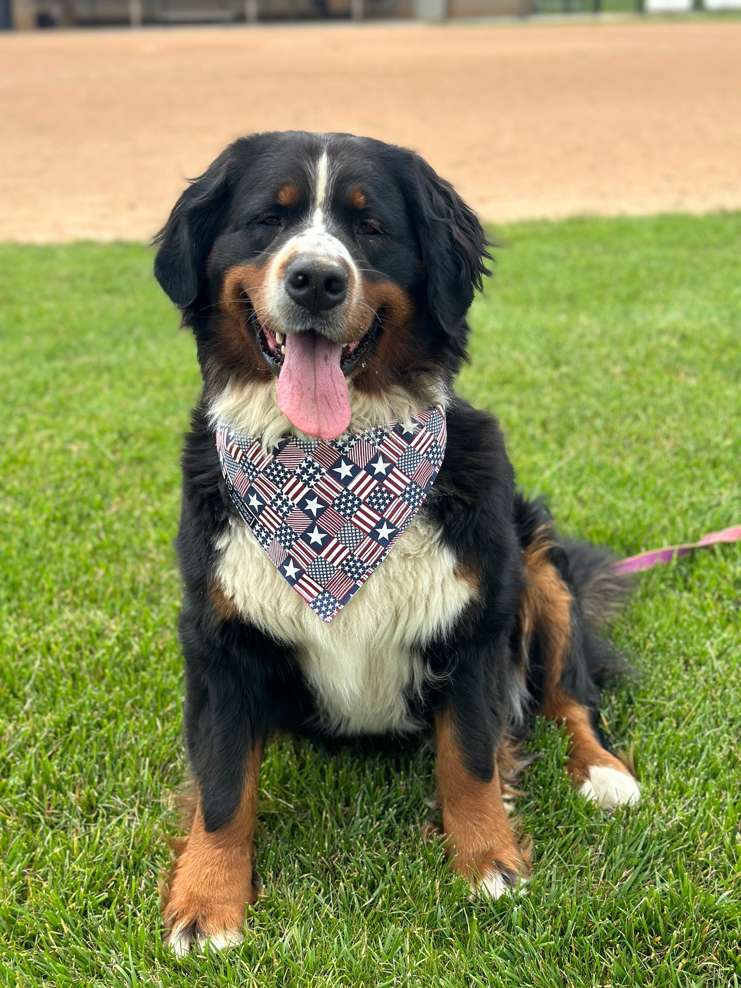 Bark in the Park!