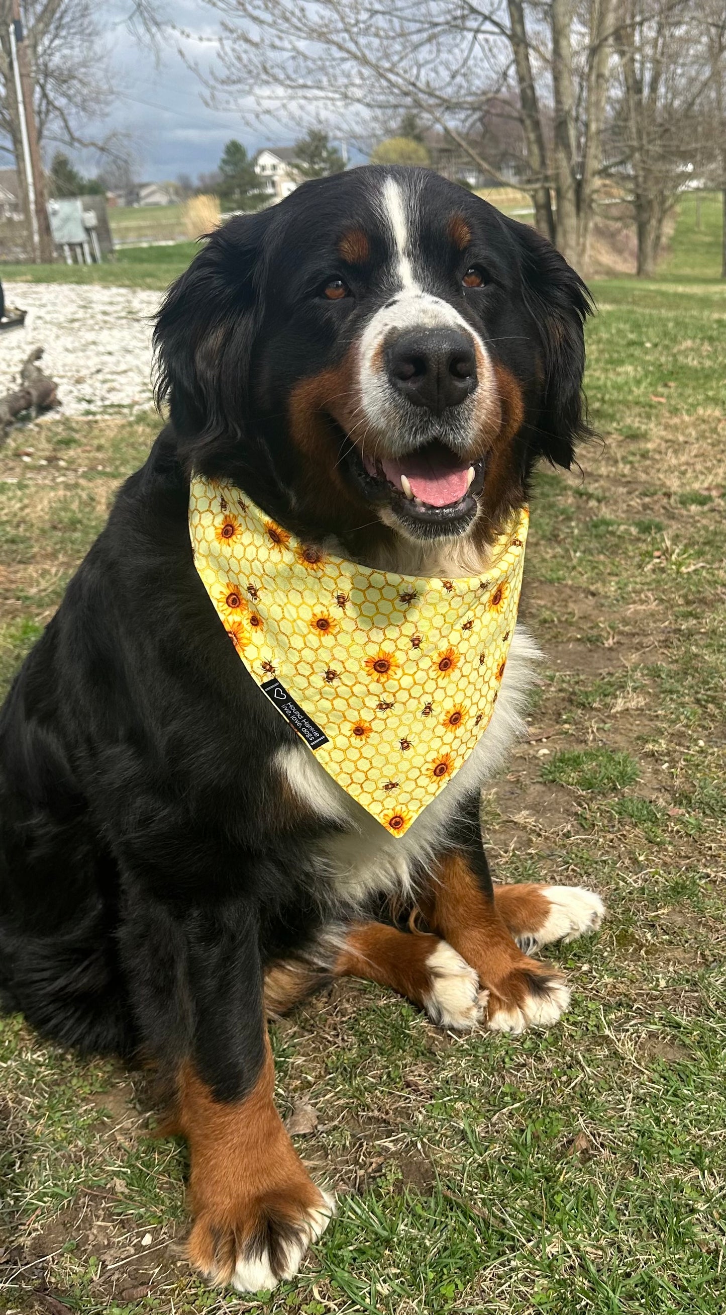 Sweet Hospitality Reversible Dog Bandana