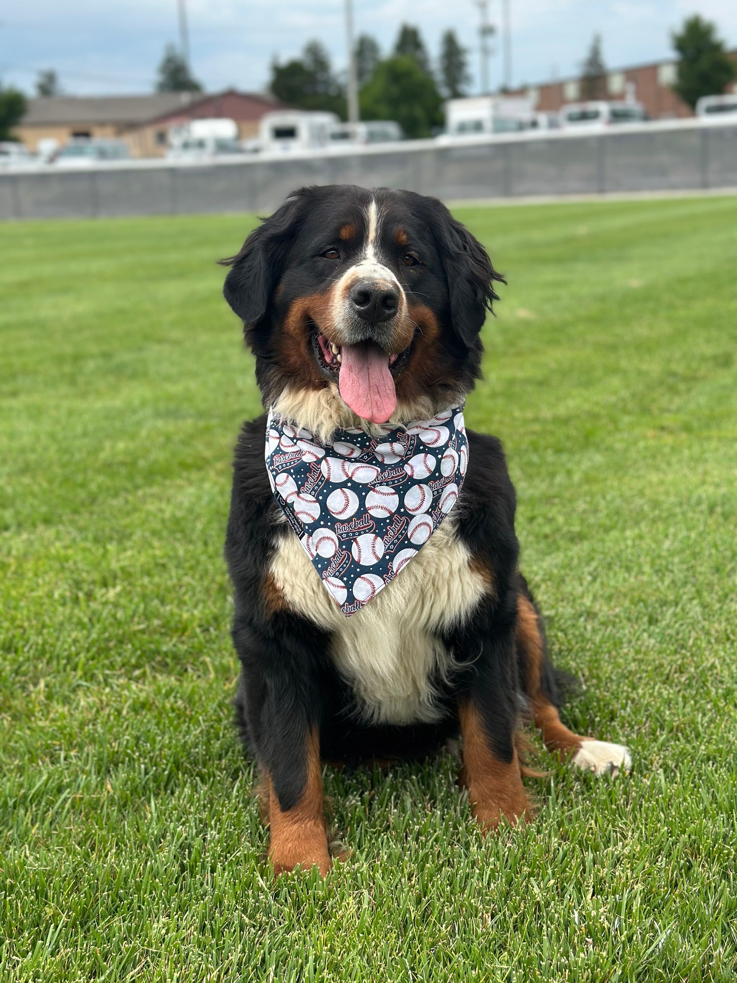 Bark in the Park!