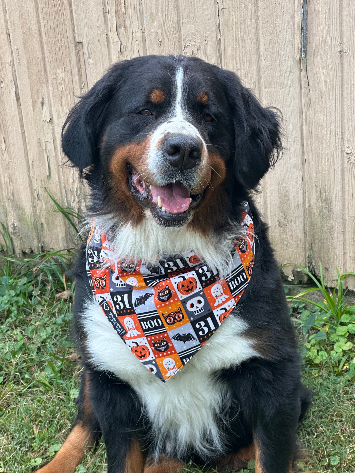 31 BOO! Reversible Dog Bandana