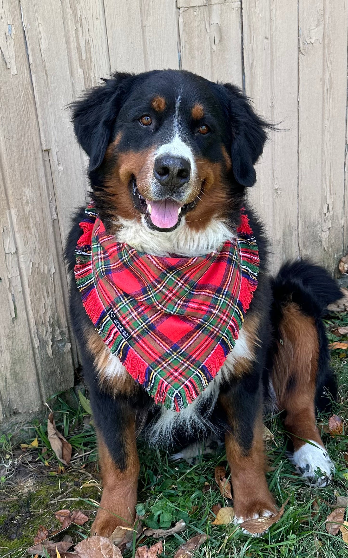 Christmas Plaid Fringed Dog Bandana