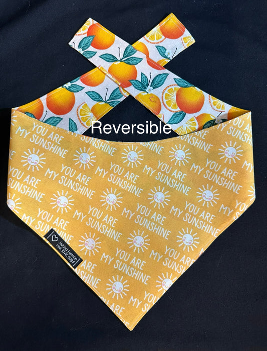 You are my Sunshine Reversible Dog Bandana