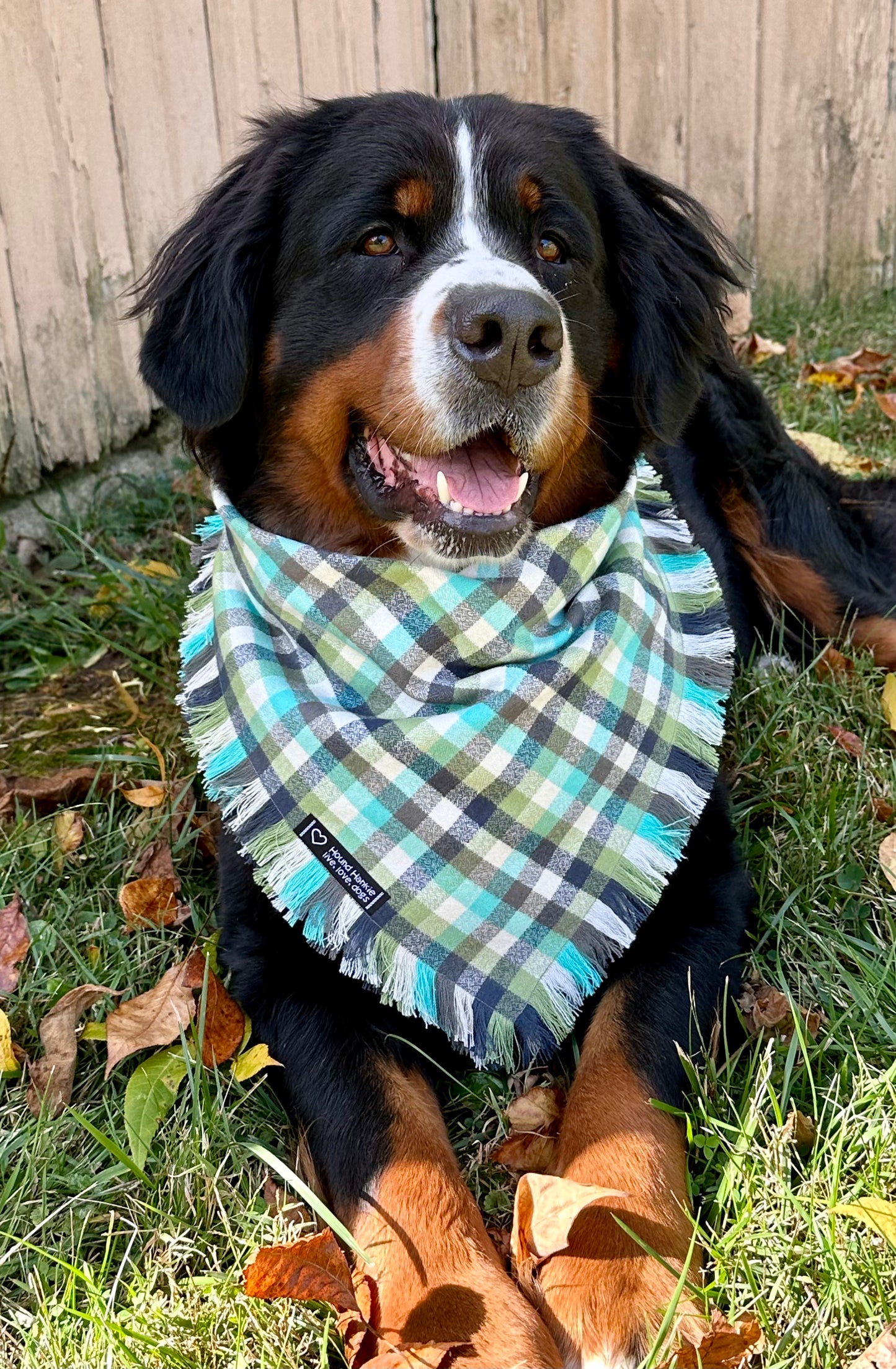 Sea Foam Fringed Dog Bandana