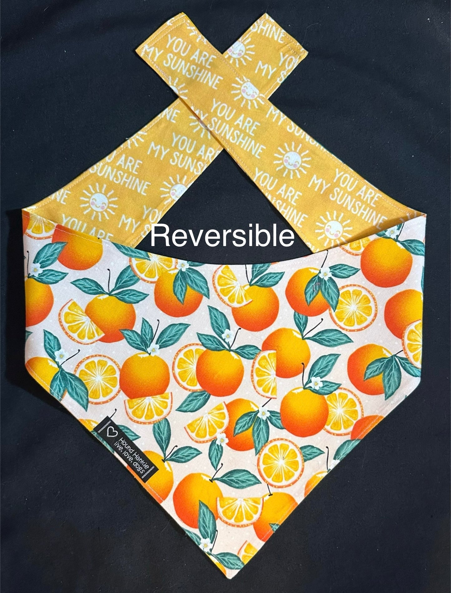 You are my Sunshine Reversible Dog Bandana