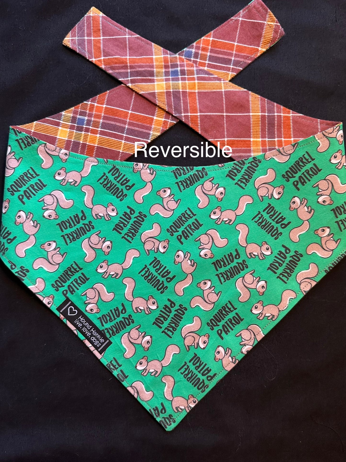 Squirrel Patrol Reversible Dog Bandana