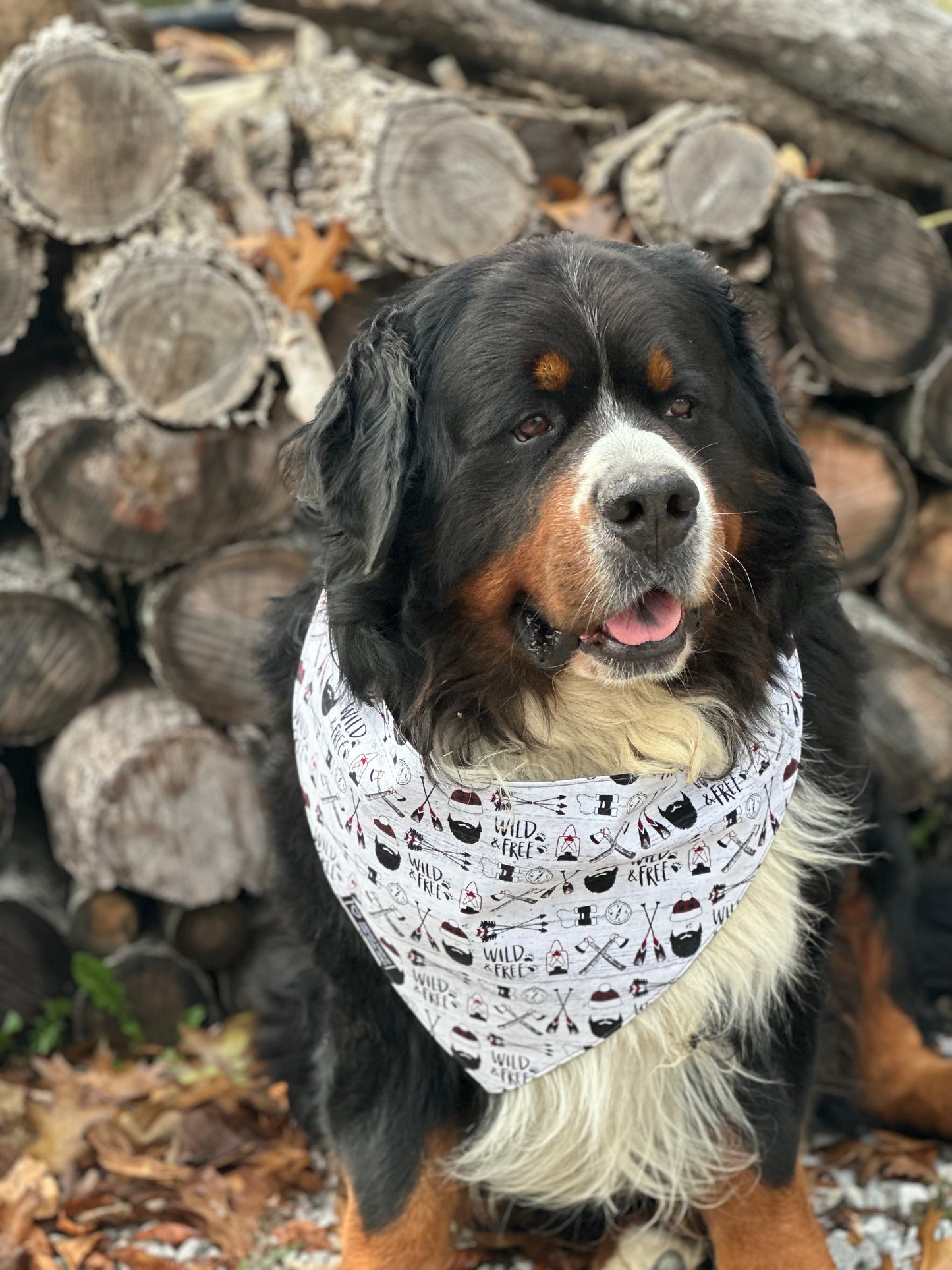 Wild & Free Reversible Dog Bandana