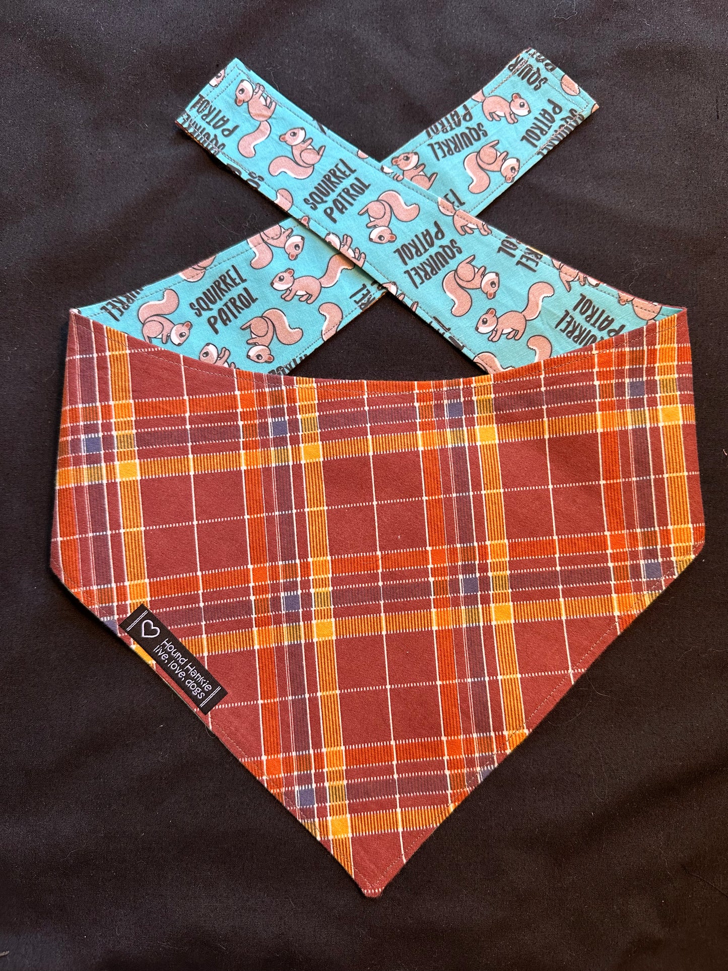 Squirrel Patrol Reversible Dog Bandana