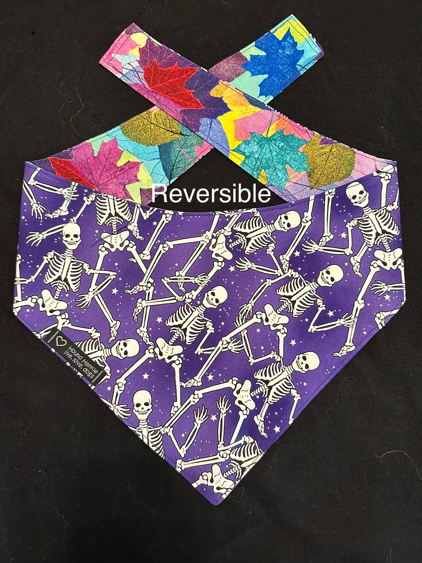 Skeletons Reversible Dog Bandana
