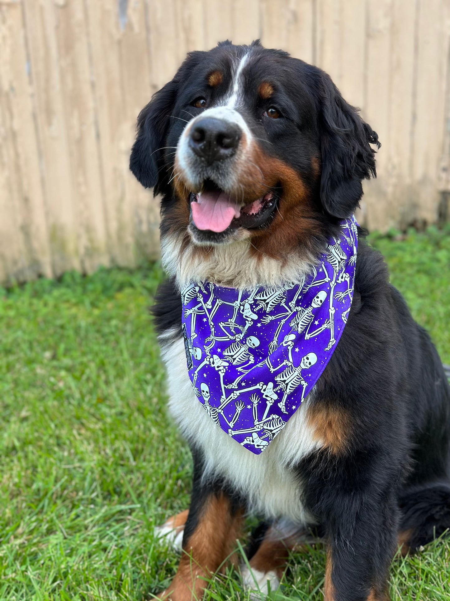 Skeletons Reversible Dog Bandana