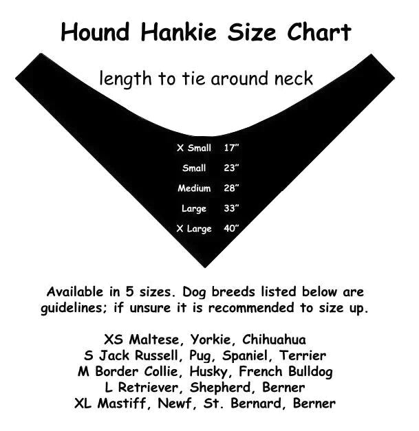 Sew Perfect Reversible Dog Bandana