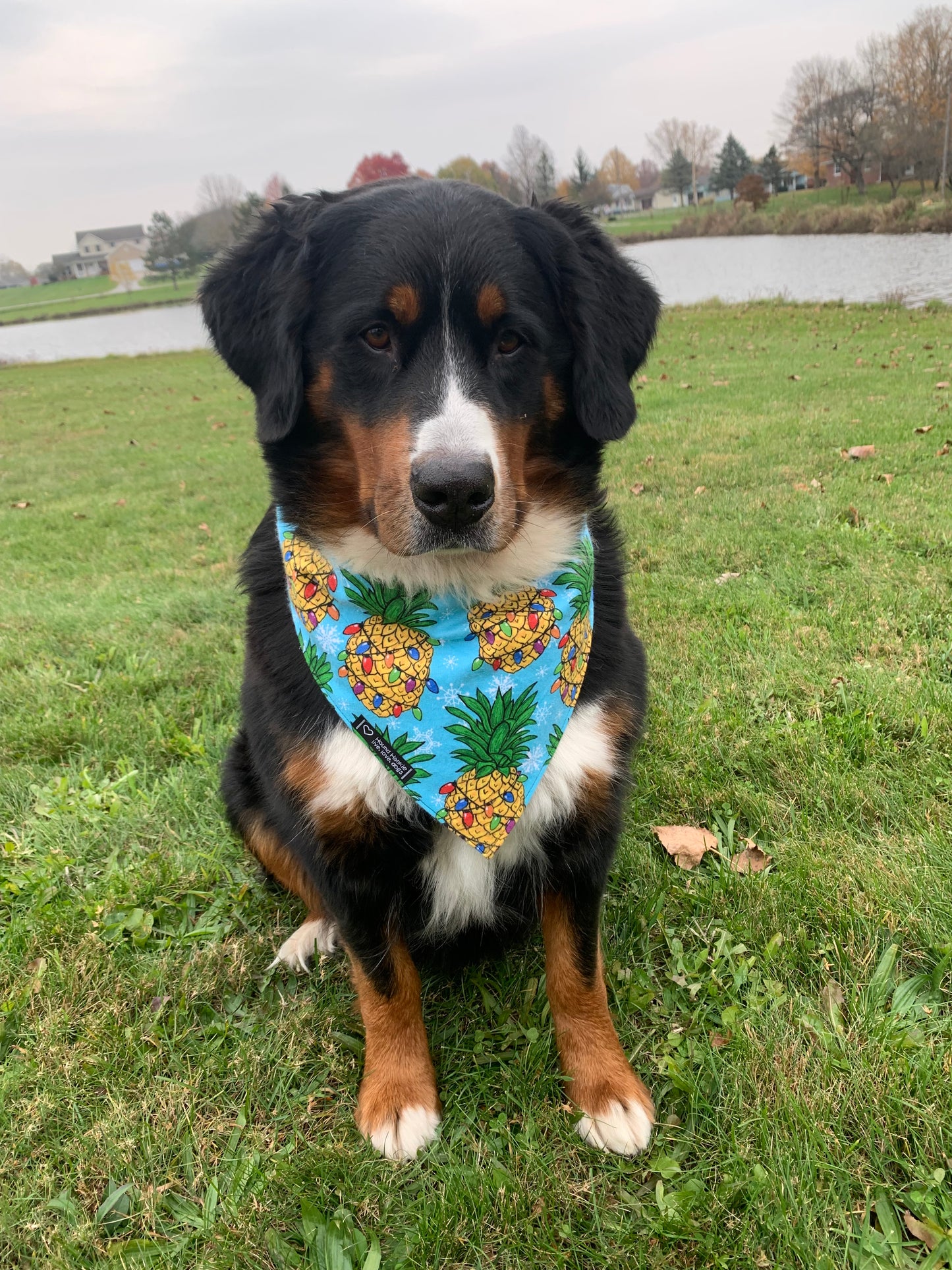 Mele Kalikimaka Reversible Dog Bandana
