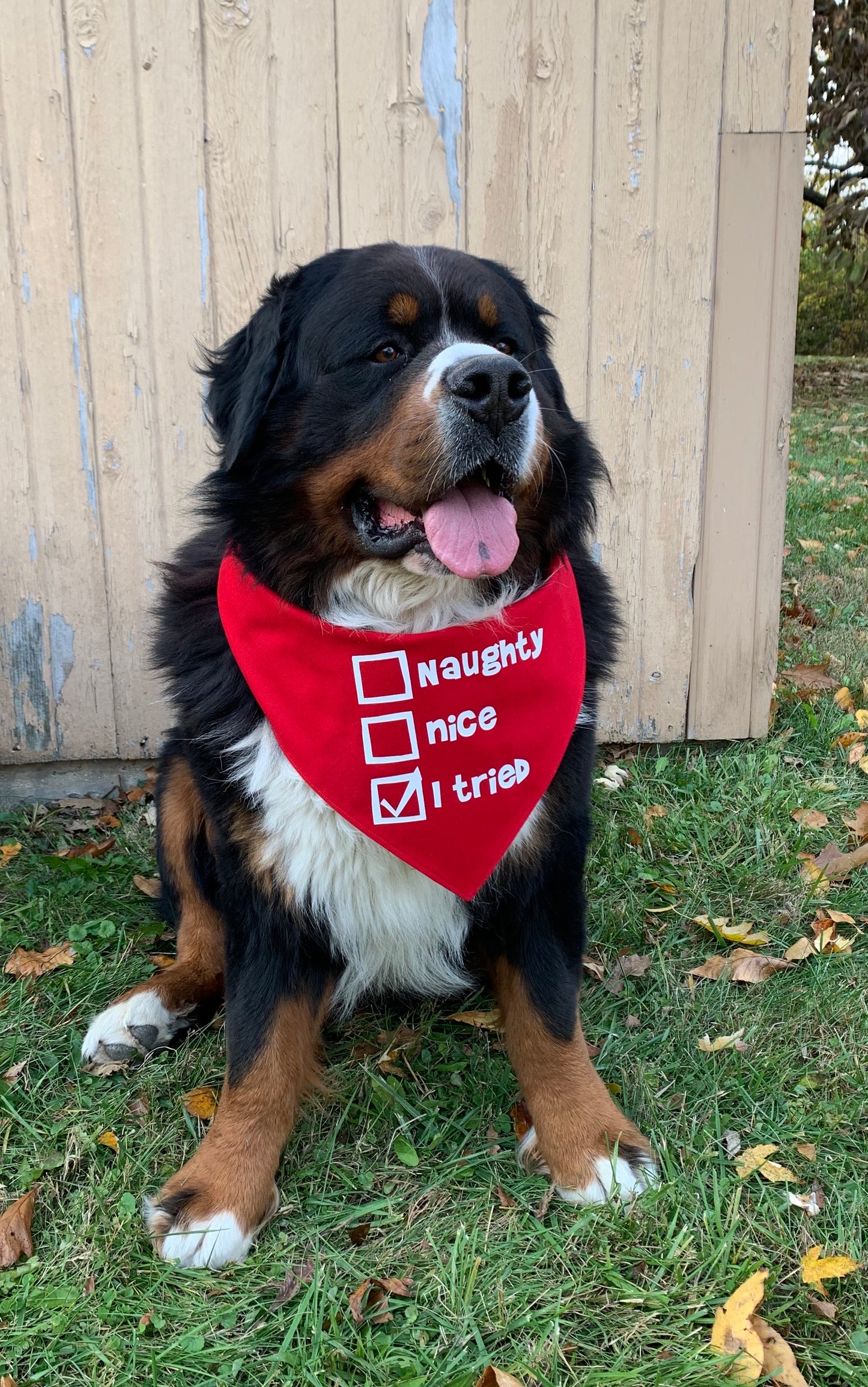 Naughty, Nice, I Tried Reversible Dog Bandana