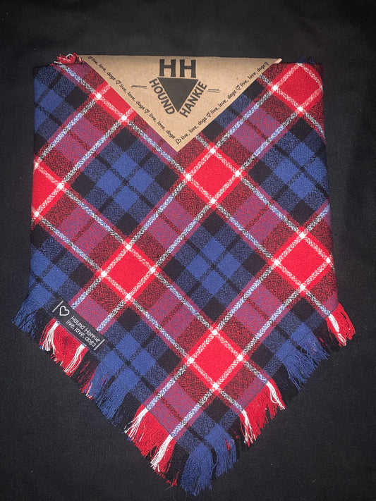 Freedom Trail Fringed Dog Bandana