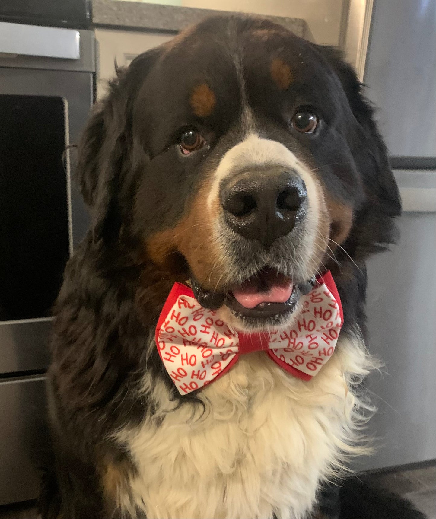 HoHoHo Bow Tie