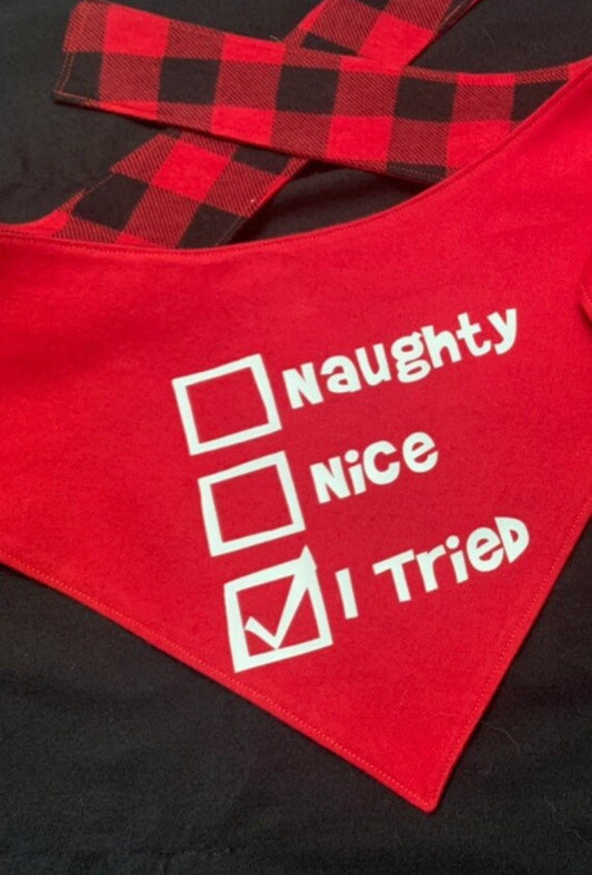 Naughty, Nice, I Tried Reversible Dog Bandana