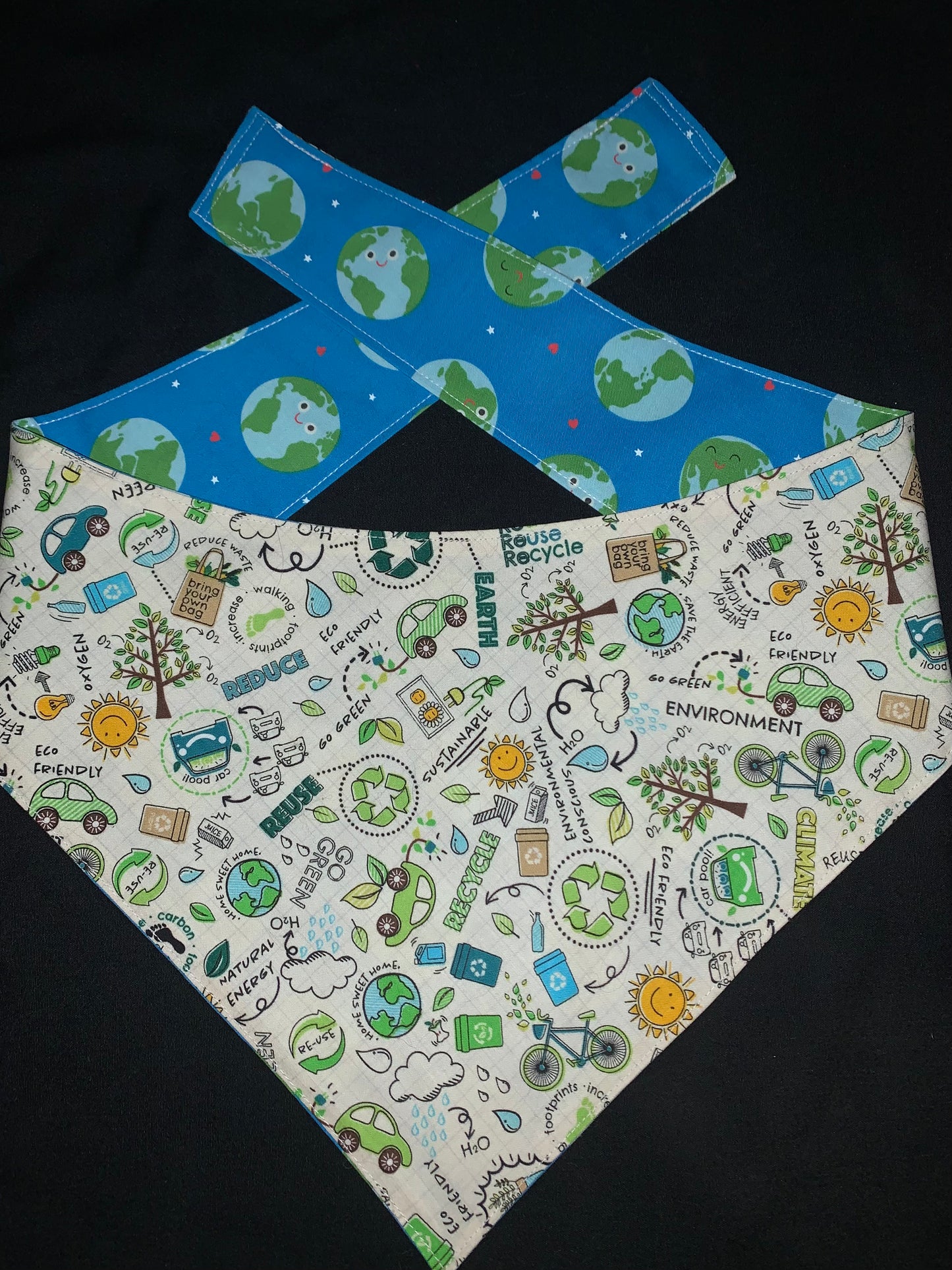 Earth Day Reuse Recycle Reversible Dog Bandana