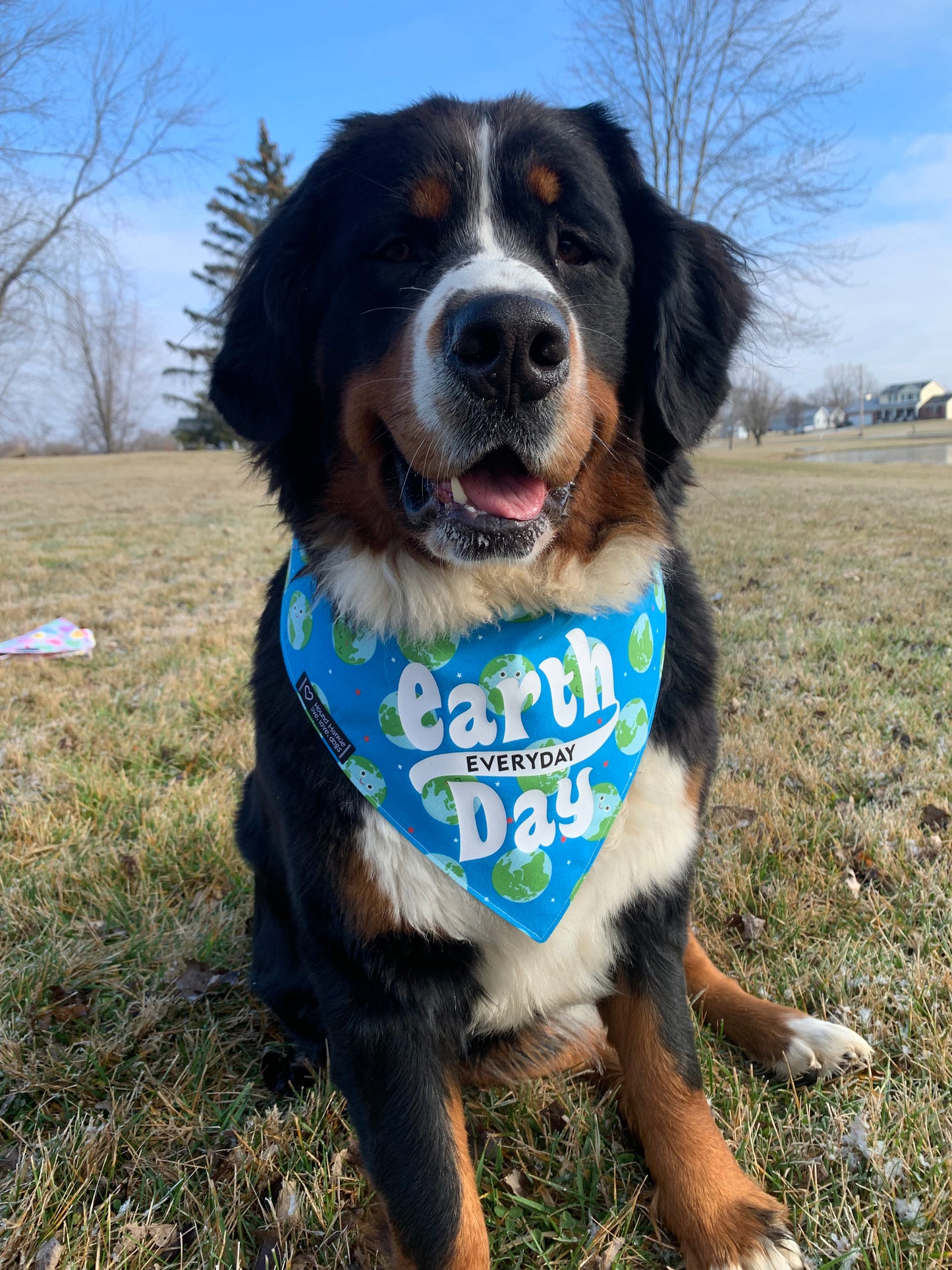 Earth Day Reuse Recycle Reversible Dog Bandana