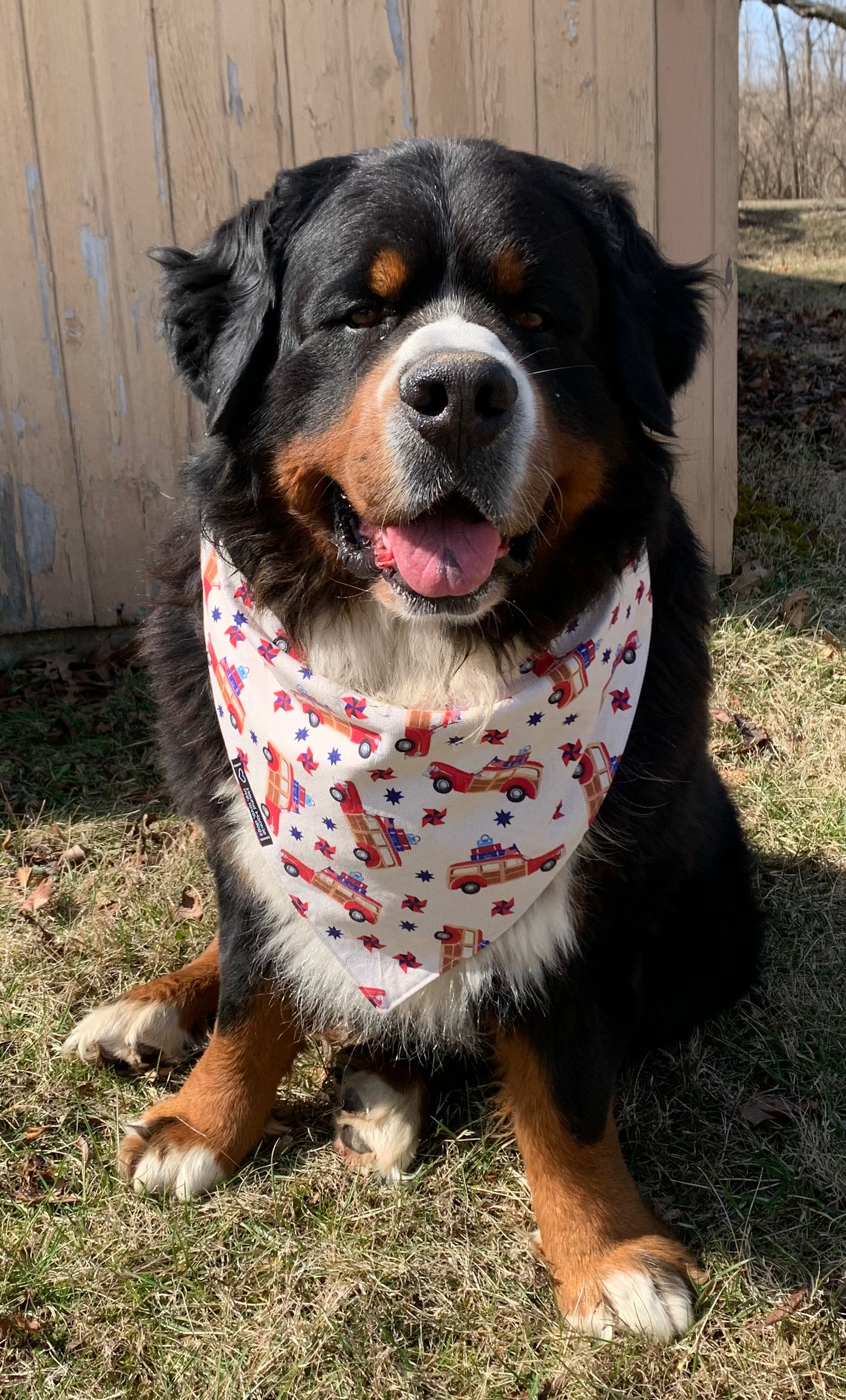 All American Road Trip Reversible Dog Bandana
