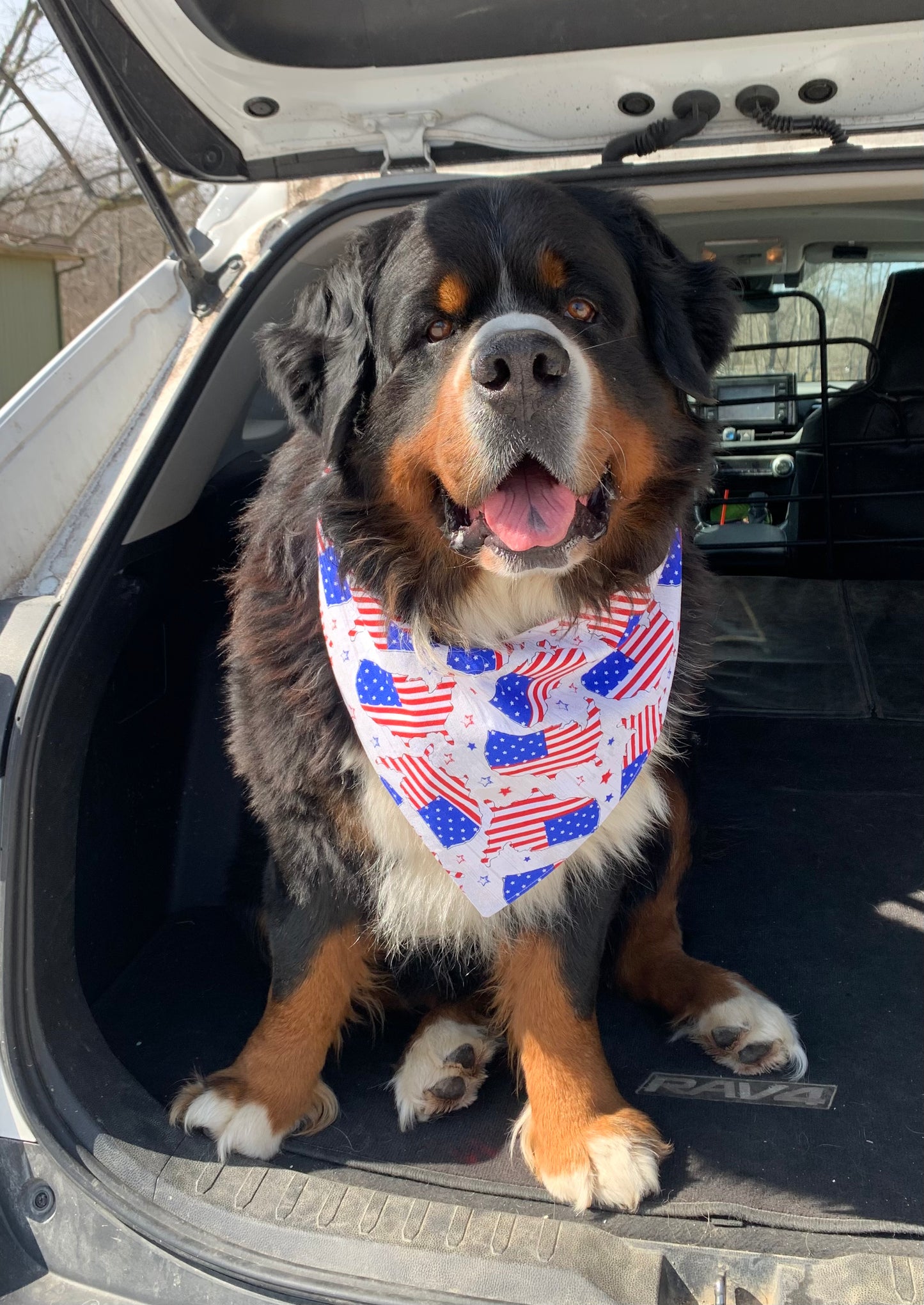 All American Road Trip Reversible Dog Bandana