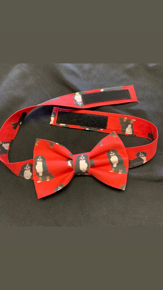 Bernese Mountain Dog Bow Tie