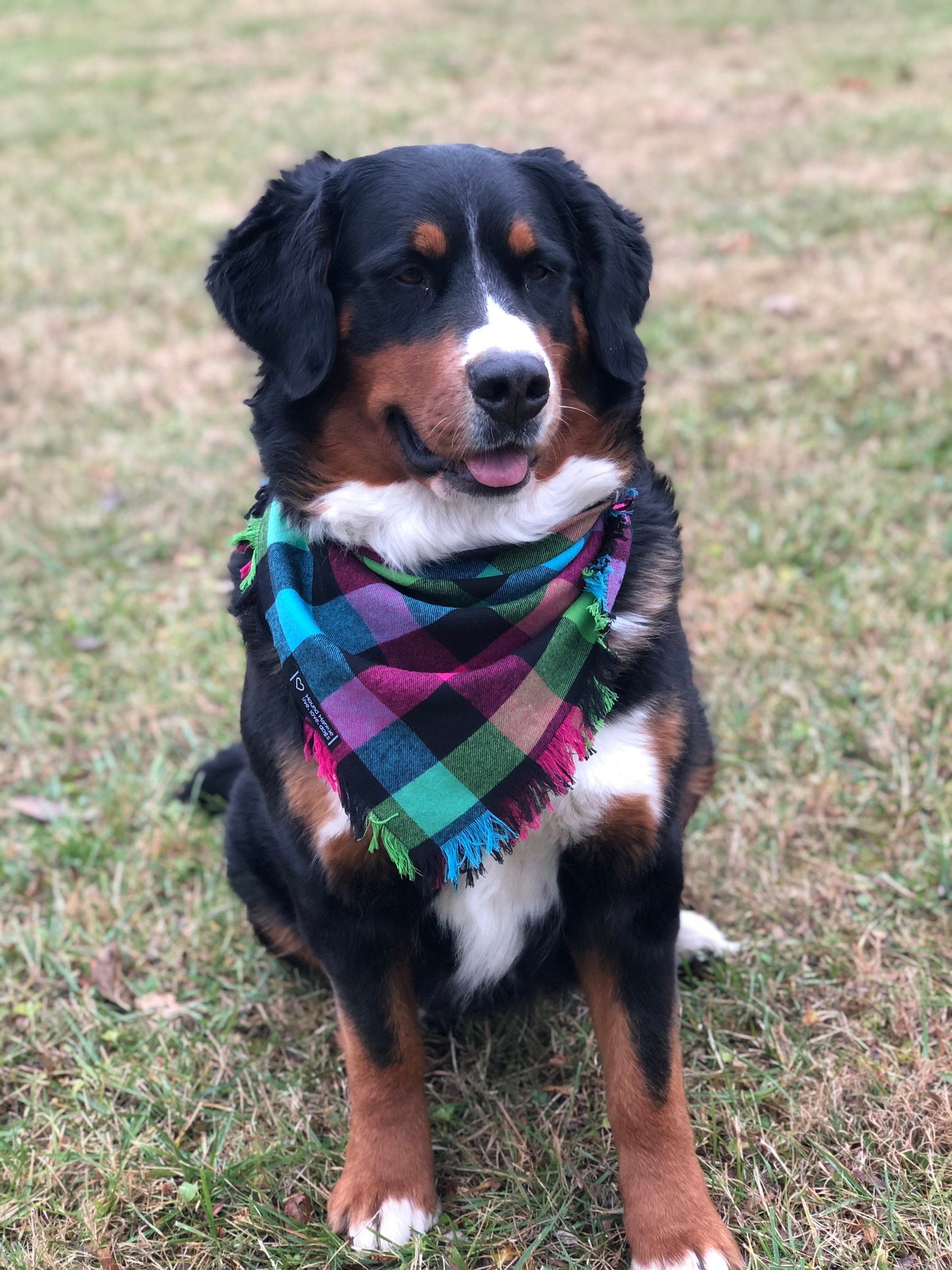 Rainbow Plaid Dog Bandana