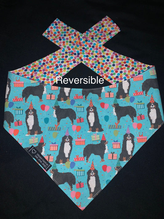 Bernese Mountain Dog Birthday Reversible Dog Bandana
