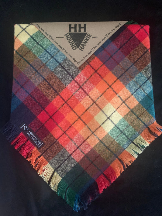 Amazing Technicolor Fringed Dog Bandana