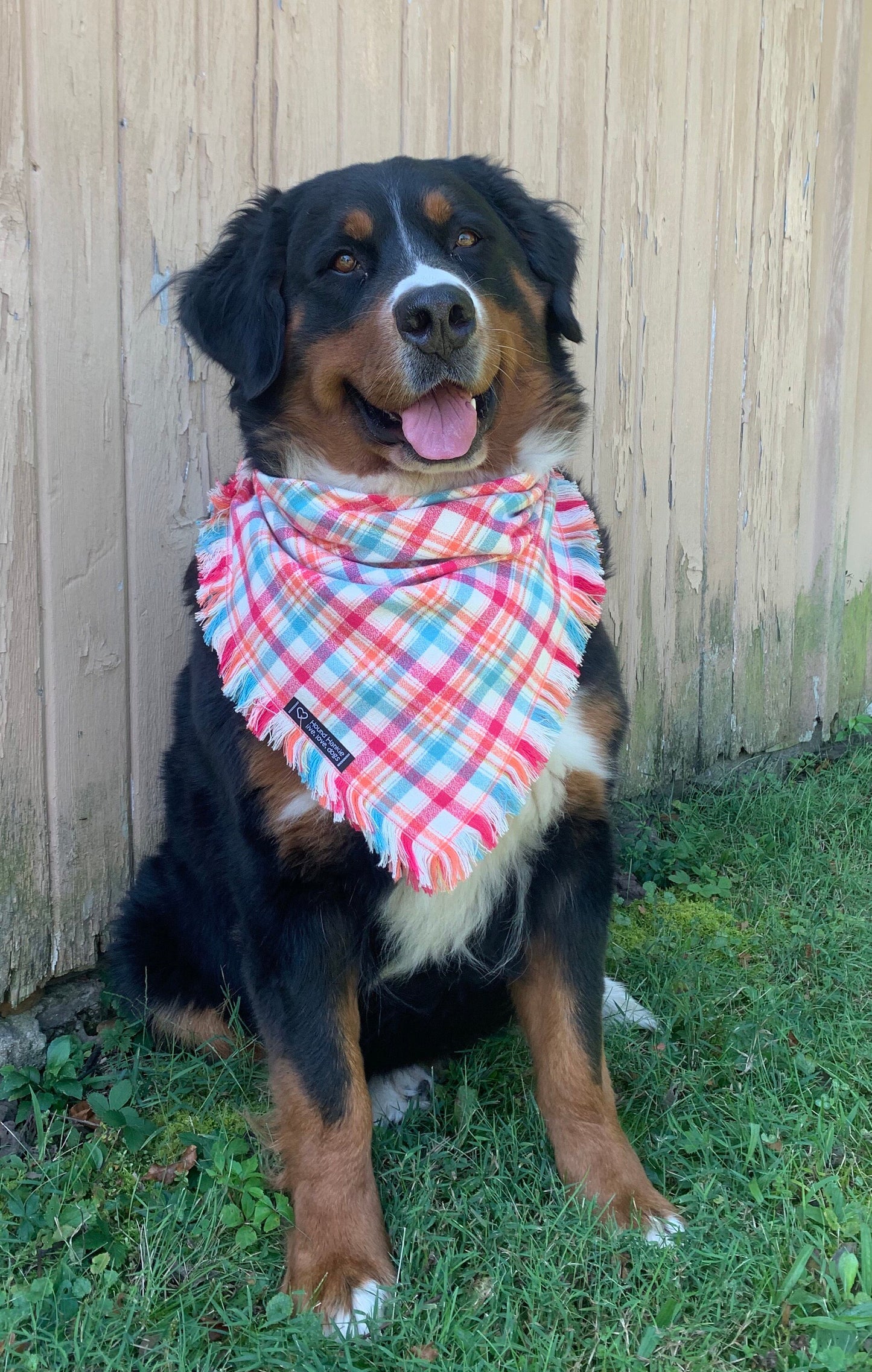 Strawberry Creme Fringed Dog Bandana