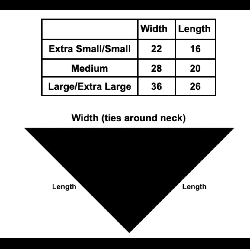 Adventure Fringed Dog Bandana