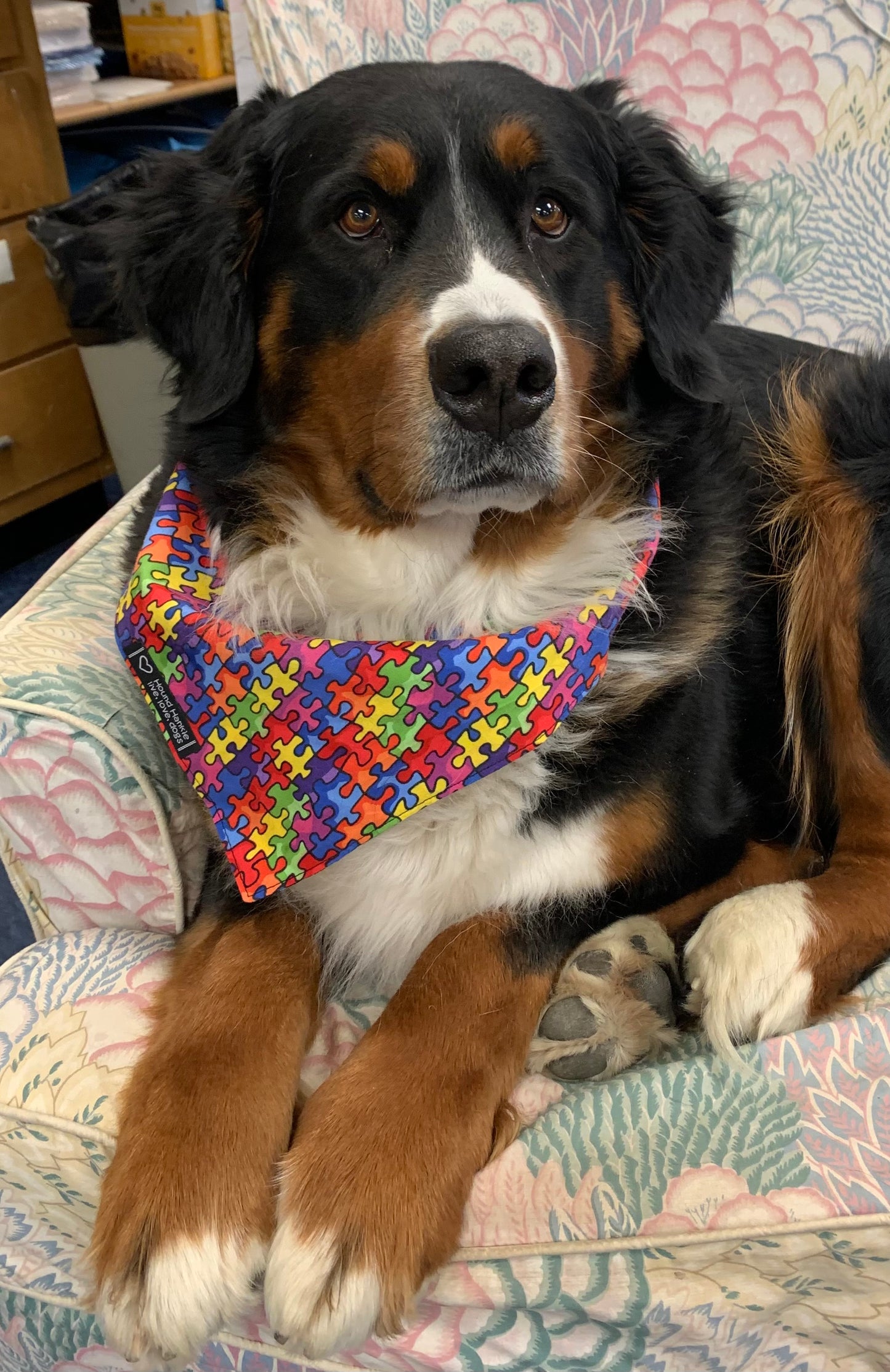 Autism Awareness Reversible Dog Bandana
