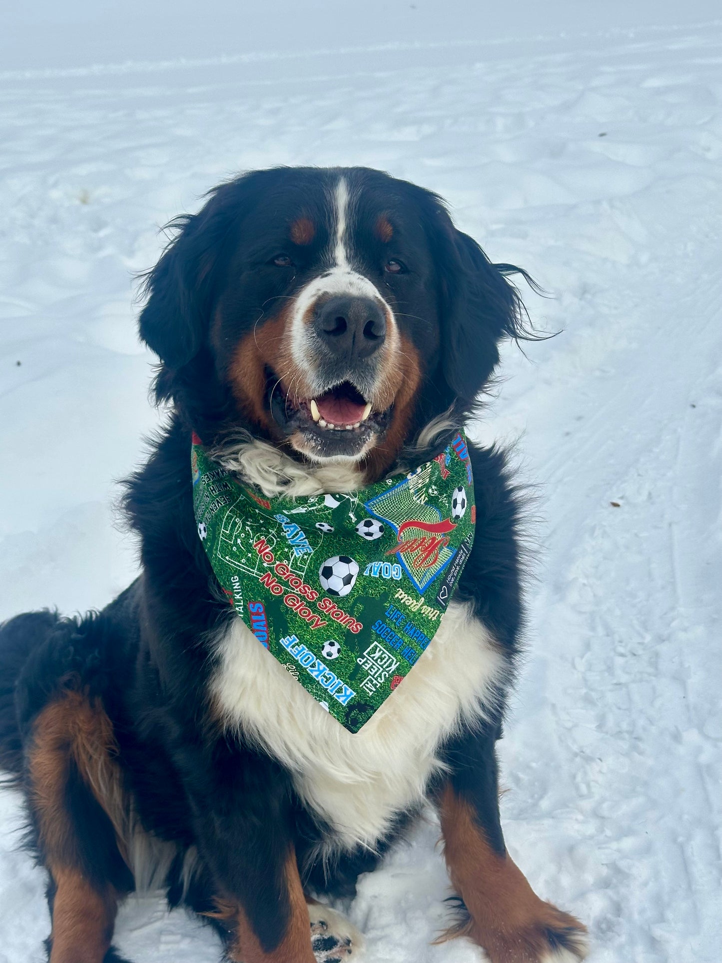 World Cup Reversible Hound Hankie