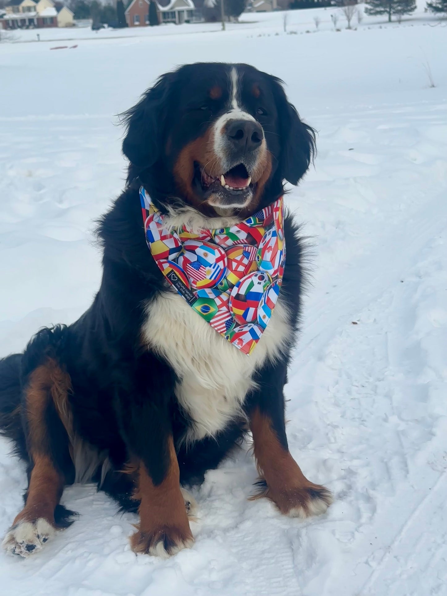 World Cup Reversible Hound Hankie