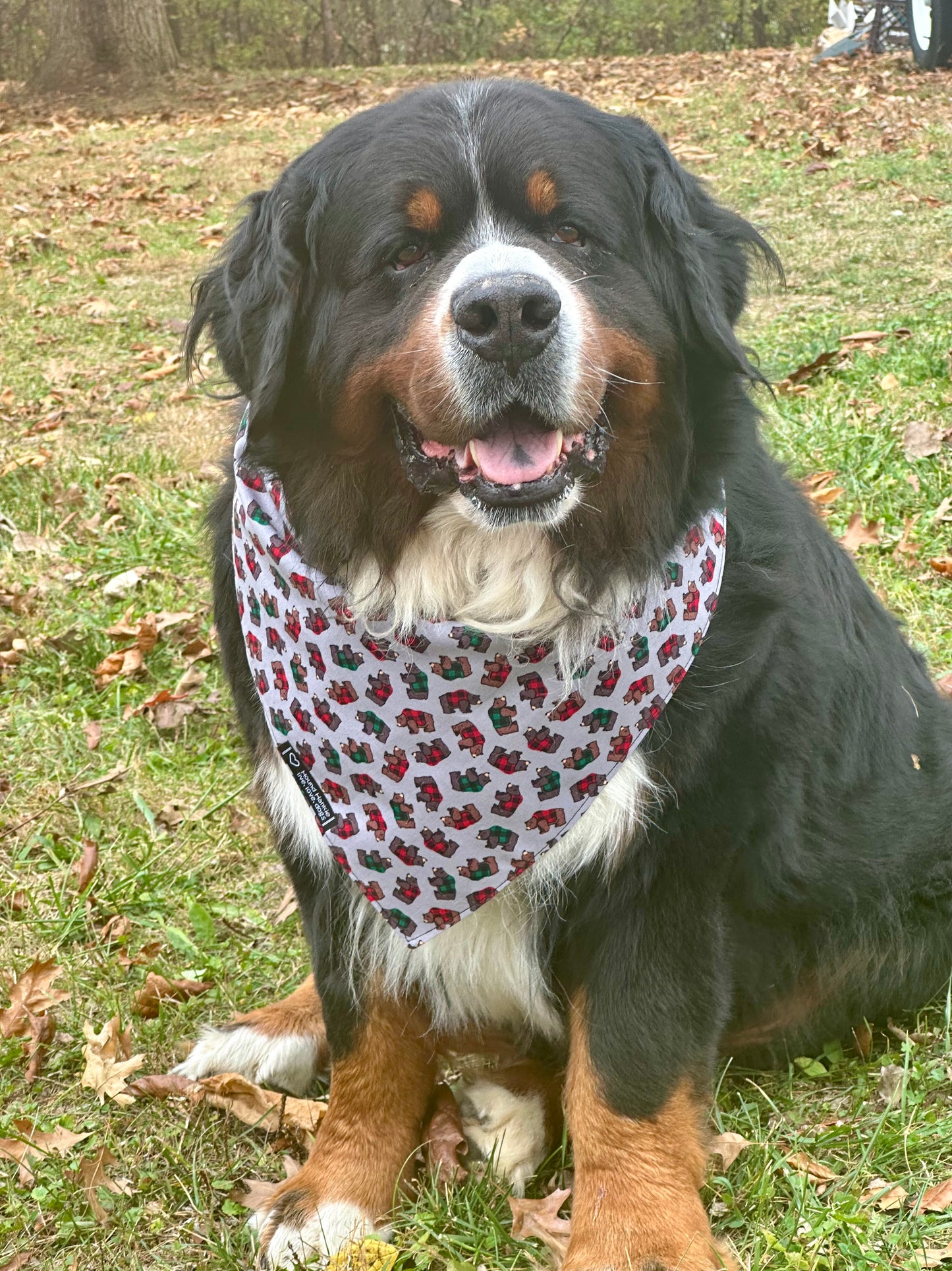 Lumber Jack & Jill Reversible Dog Bandana