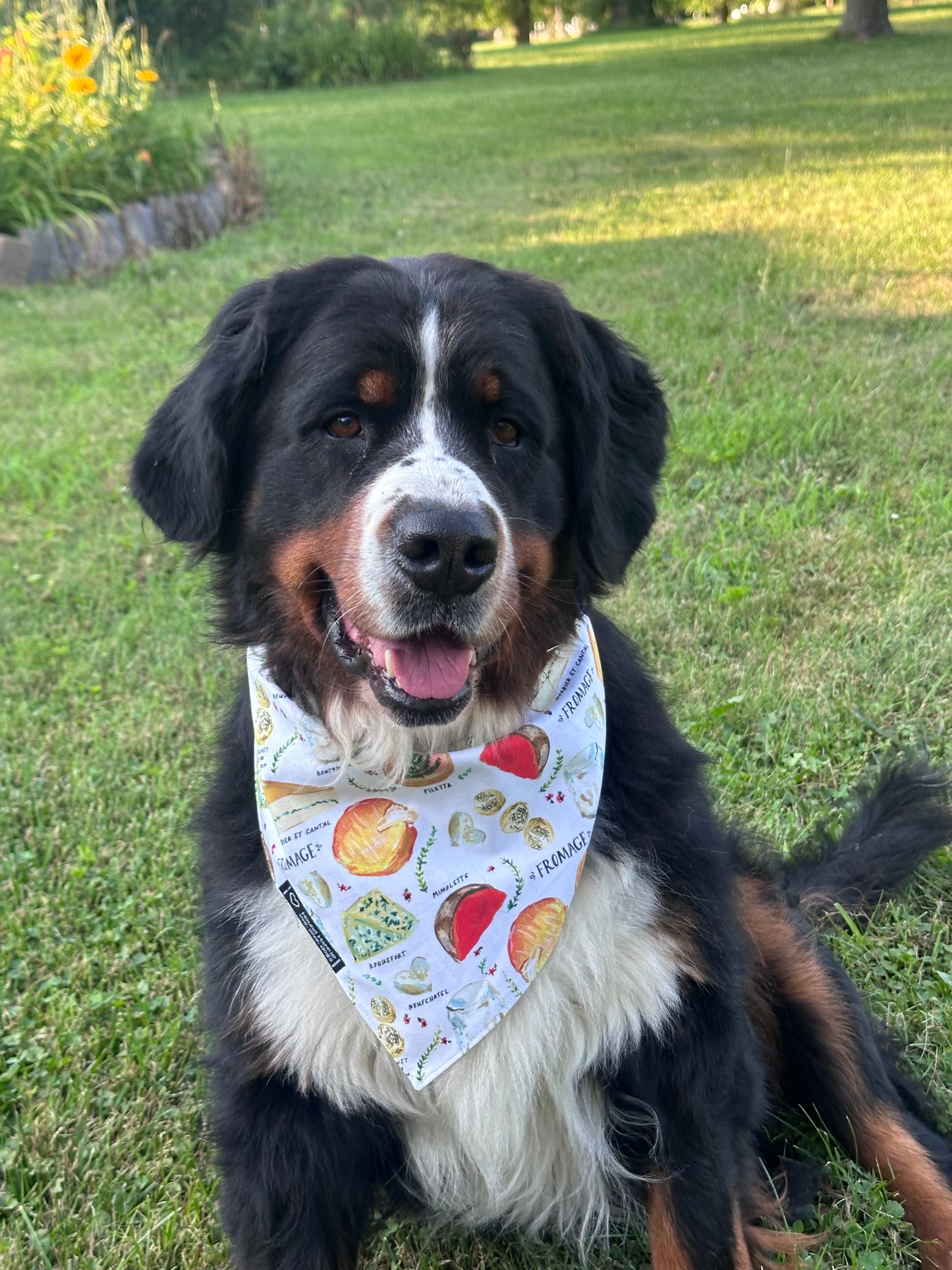 Fromage Fanatic Reversible Dog Bandana