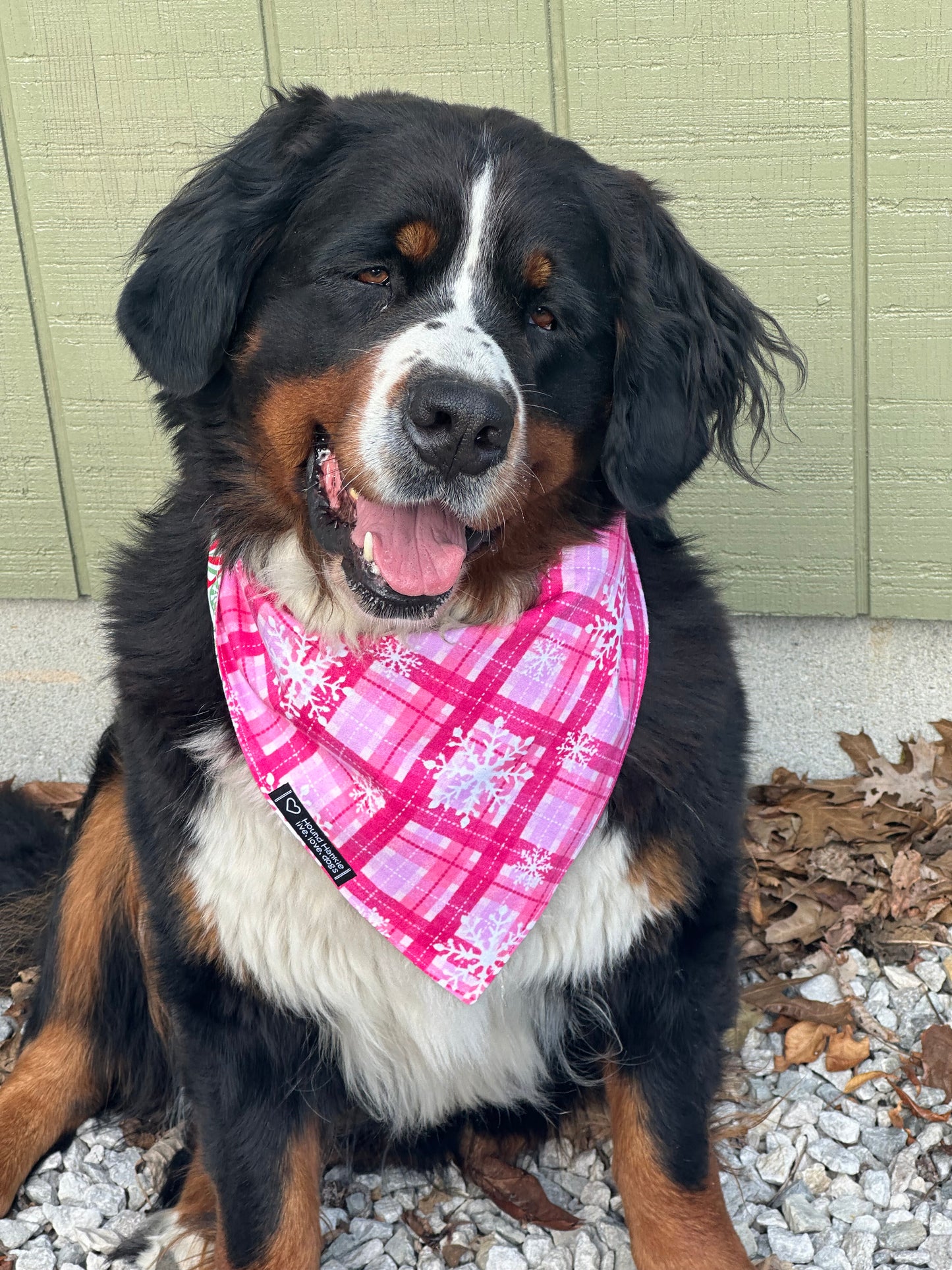 Frosty Mints Reversible Dog Bandana