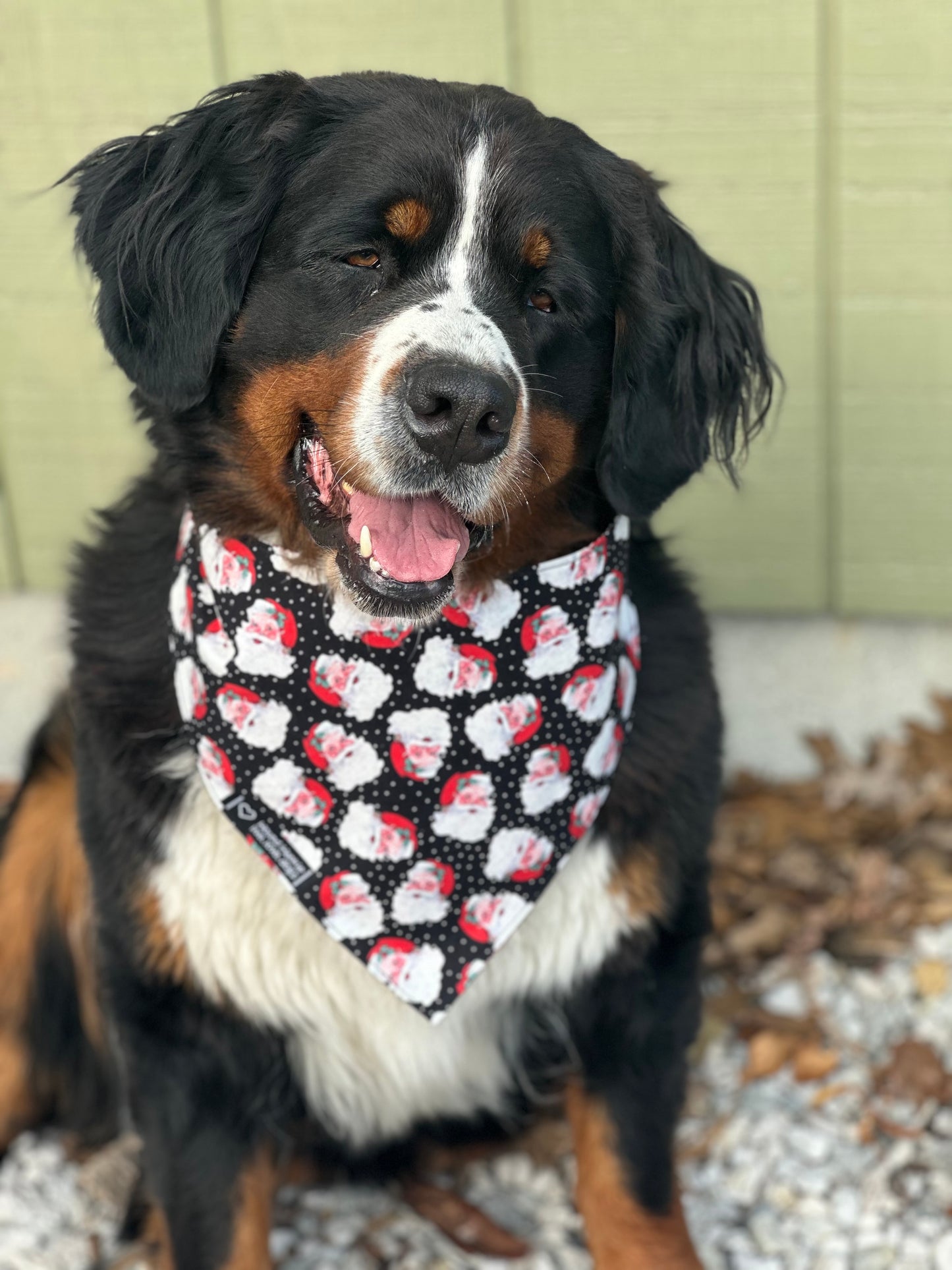 Ho Ho Ho Reversible Dog Bandana